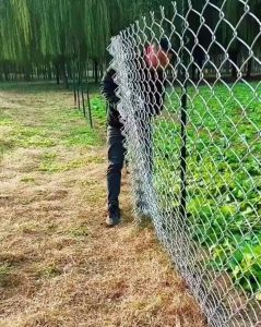 菜園圍籬菱形網