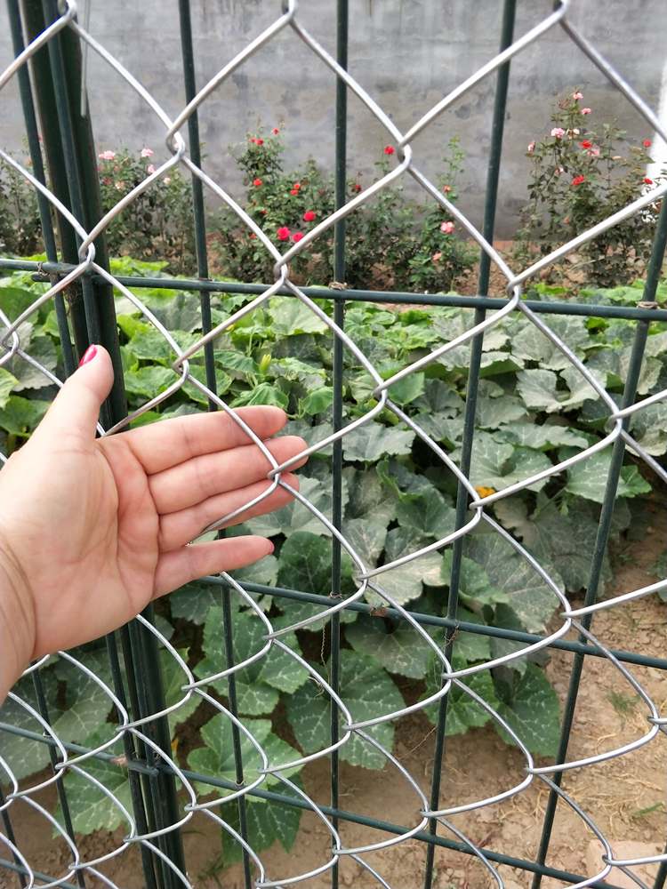 高雄菱形網